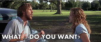 The Notebook