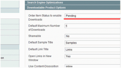 Magento Downloadable Product