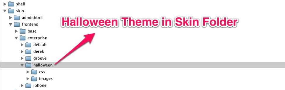 Skin Folder