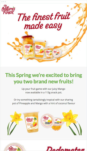 5 Email Design Best Practices You Can Implement Today
