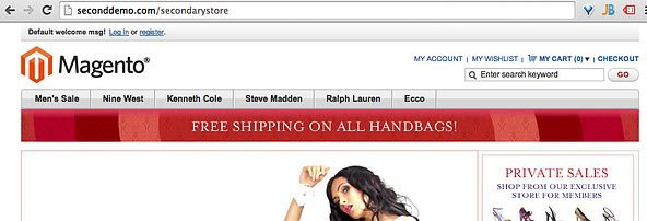 Magento New Store Under Primary Domain