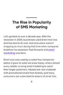 Whats Inside - SMS Marketing for eCommerce- Our Comprehensive Guide To Strategic Text Messaging