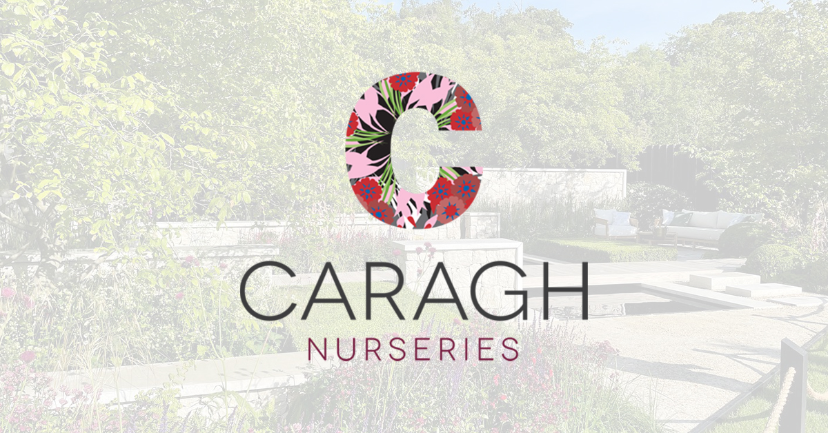 Caragh Nurserys Case Study Hero-1