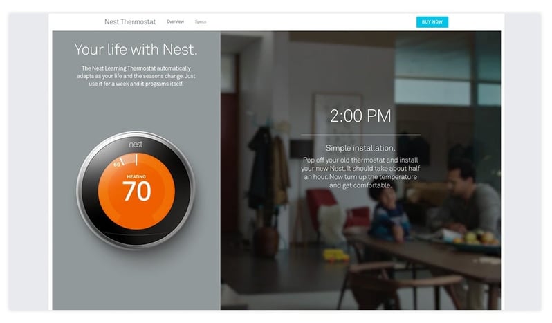 Nest.jpg