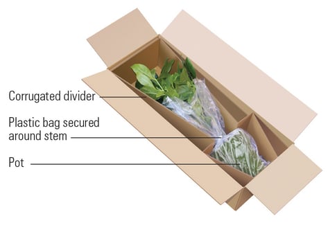 Custom Flowers and Plants Delivery Date Selection Calendar