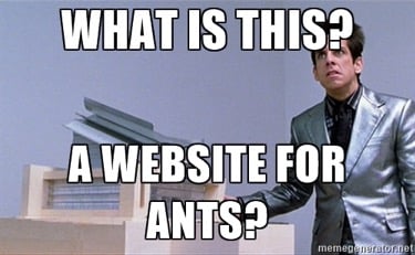 Chris_ants1.jpg