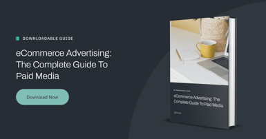 eCommerce Advertising: The Complete Guide To Paid Media