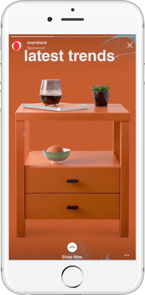 eCommerce Advertising: Facebook Story Ad From Overstock