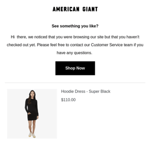 eCommerce Automation Abandoned Cart Email Example