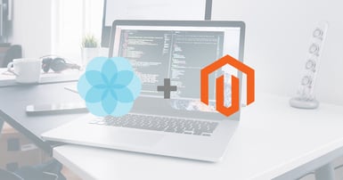 Salsify Magento Integration: How to Get Started