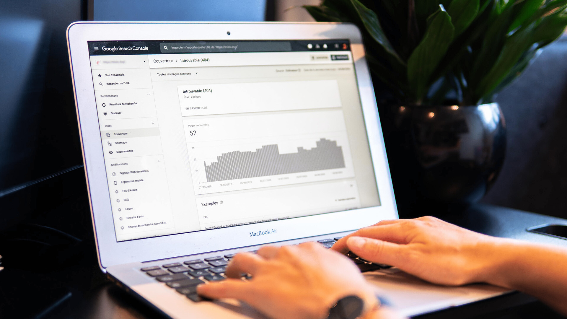 eCommerce Domain Authority: Everything You Need to Know