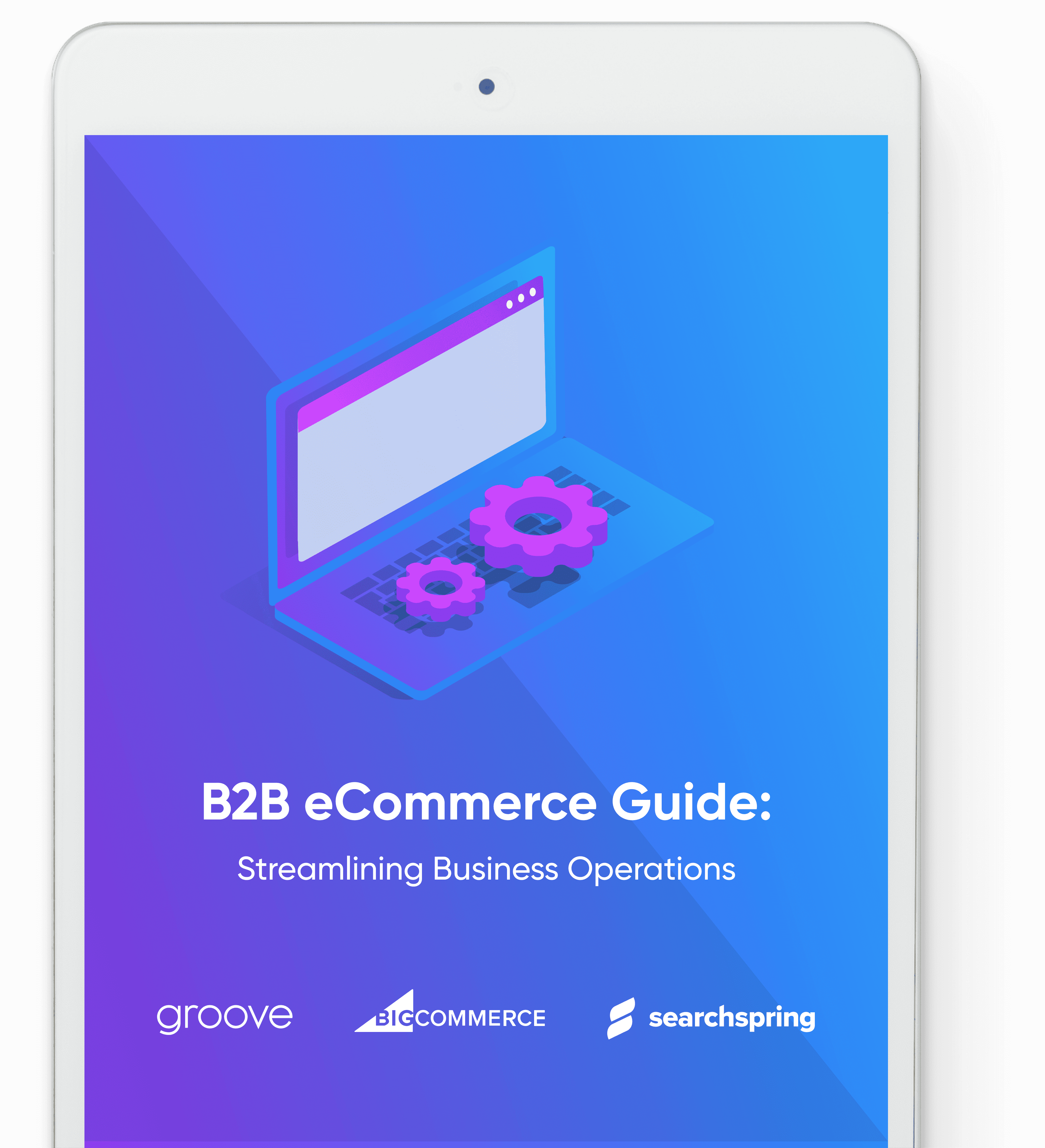 B2B eCommerce Guide