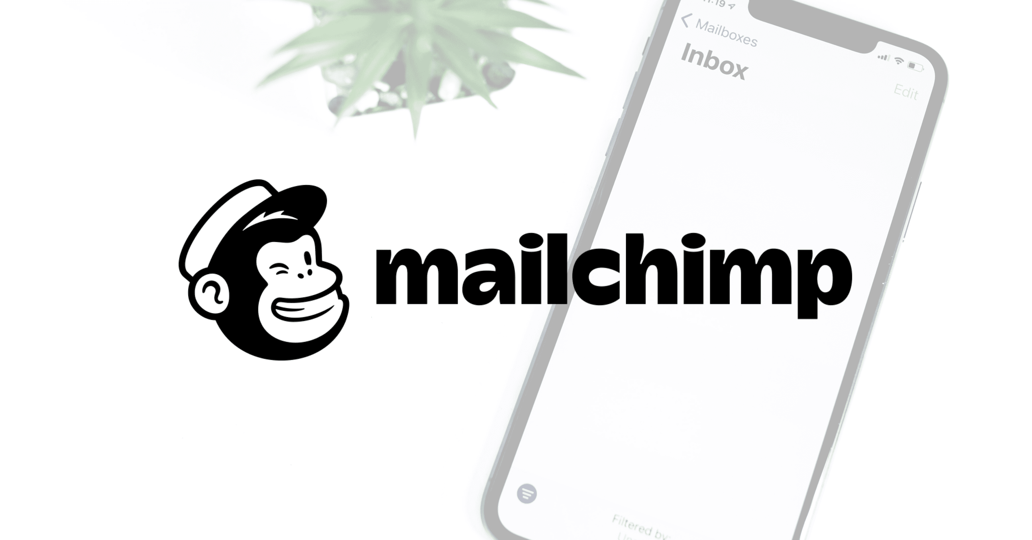 Mailchimp Email Marketing: A Look At The Tool's Features
